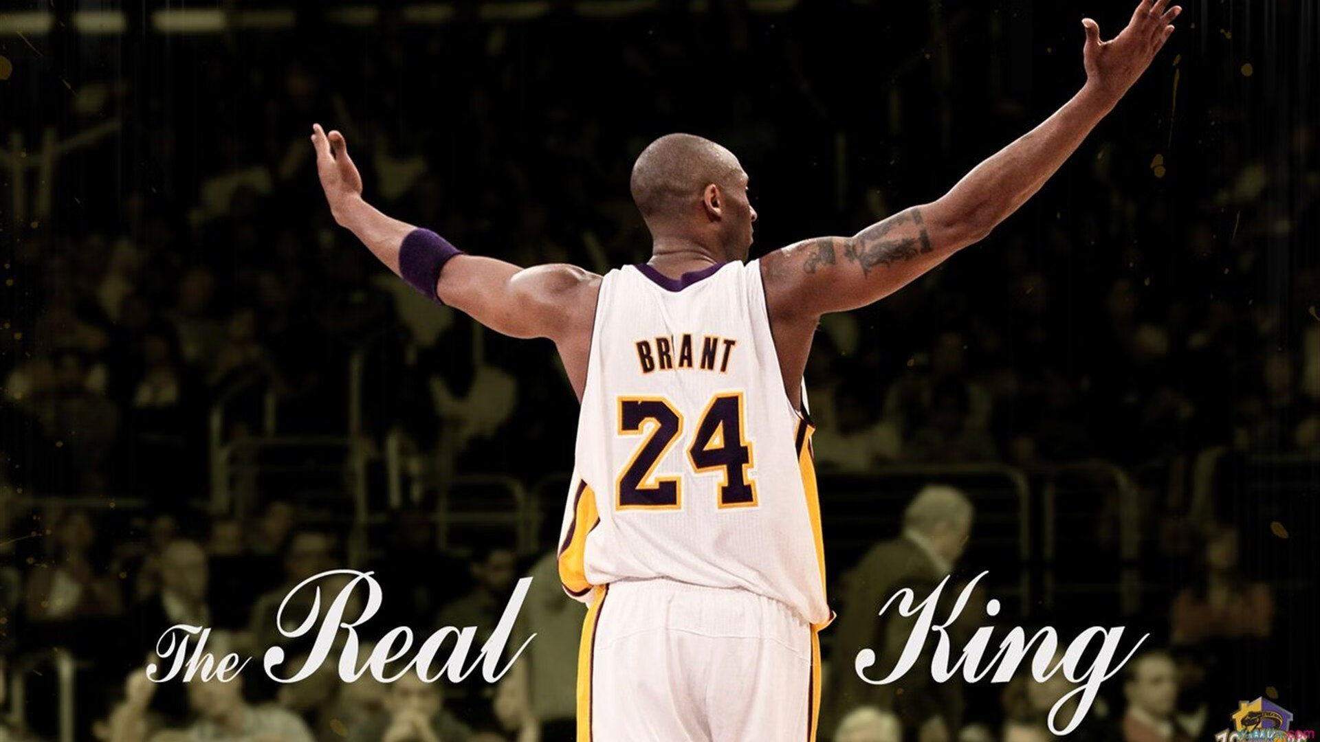 九游电竞站-夺冠之路：冠军的成长历程纪录片，回顾夺冠